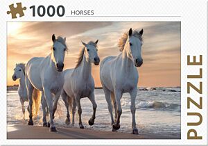 Horses (1000) - Rebo Publishers