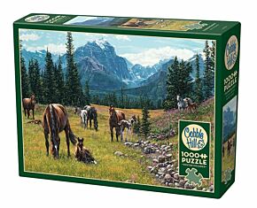 Horse Meadow puzzle